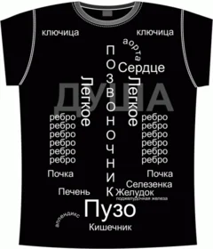 Прикольные футболки: анатомия человека black